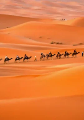 Camel ride in Erg chebbi dunes during the 10-day Grand Morocco Tour from ocean to desert
