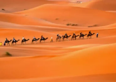Camel ride in Erg chebbi dunes during the 10-day Grand Morocco Tour from ocean to desert