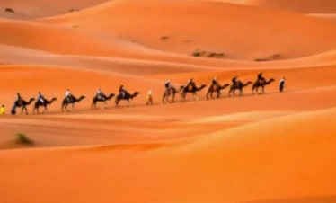 Camel ride in Erg chebbi dunes during the 10-day Grand Morocco Tour from ocean to desert