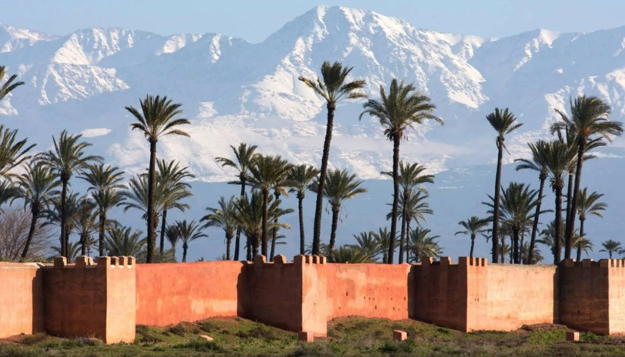 View of Marrakech palm grove and ancient city walls with the snow-capped Atlas Mountains in the background