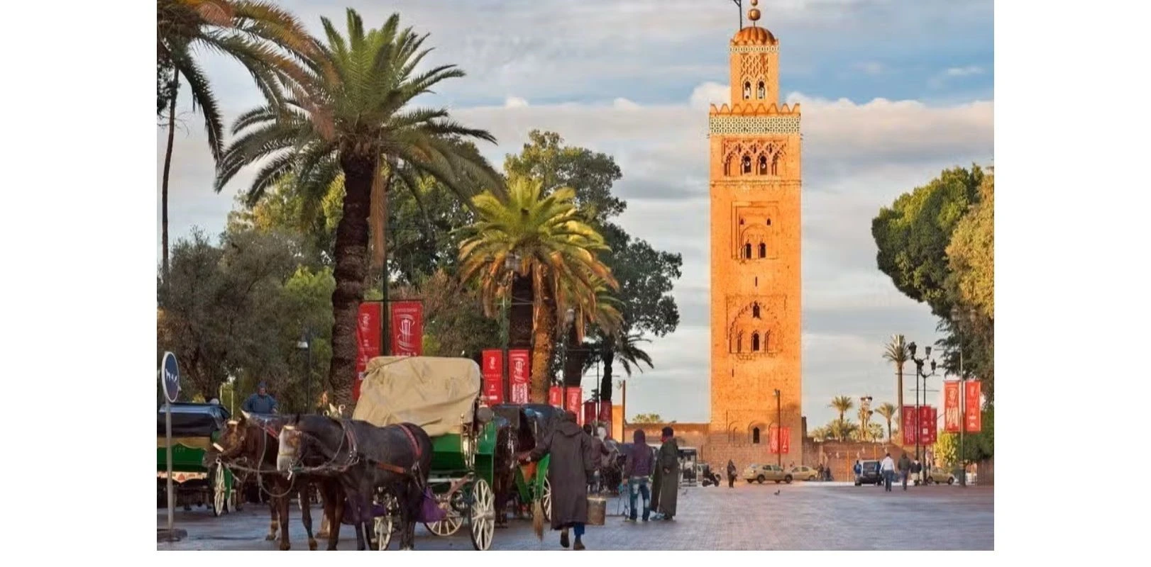 Explore the vibrant Hearth of Marrakech