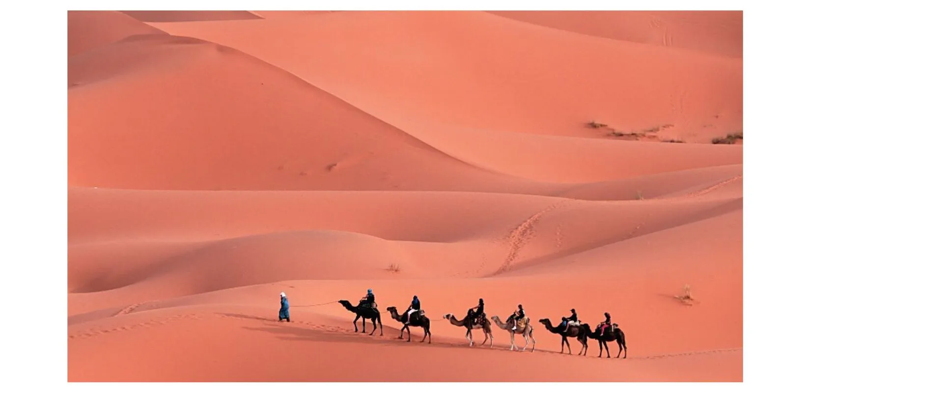 Sleep Under the Stars in the Sahara Desert.  