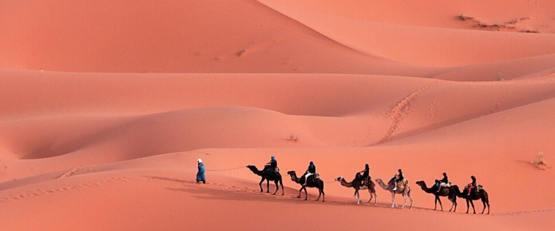 Sleep Under the Stars in the Sahara Desert.  